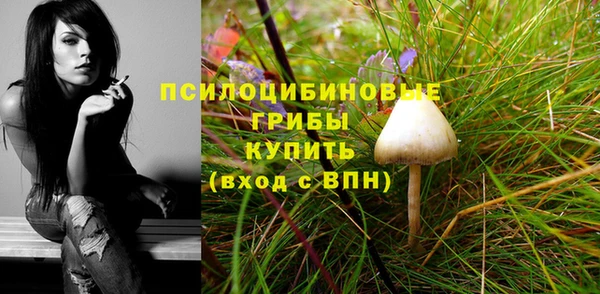 прущий лед Дмитров